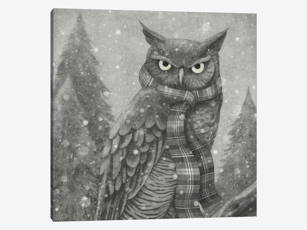 Winter Owl Square by Terry Fan 1-piece Art Print