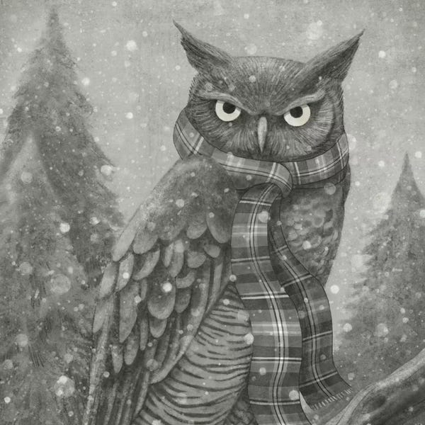 Children's Illustrations: Winter Owl Square by Terry Fan