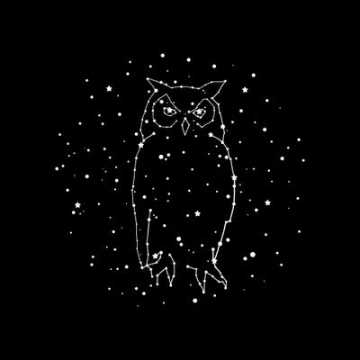 Owl Constellation by Terry Fan art print