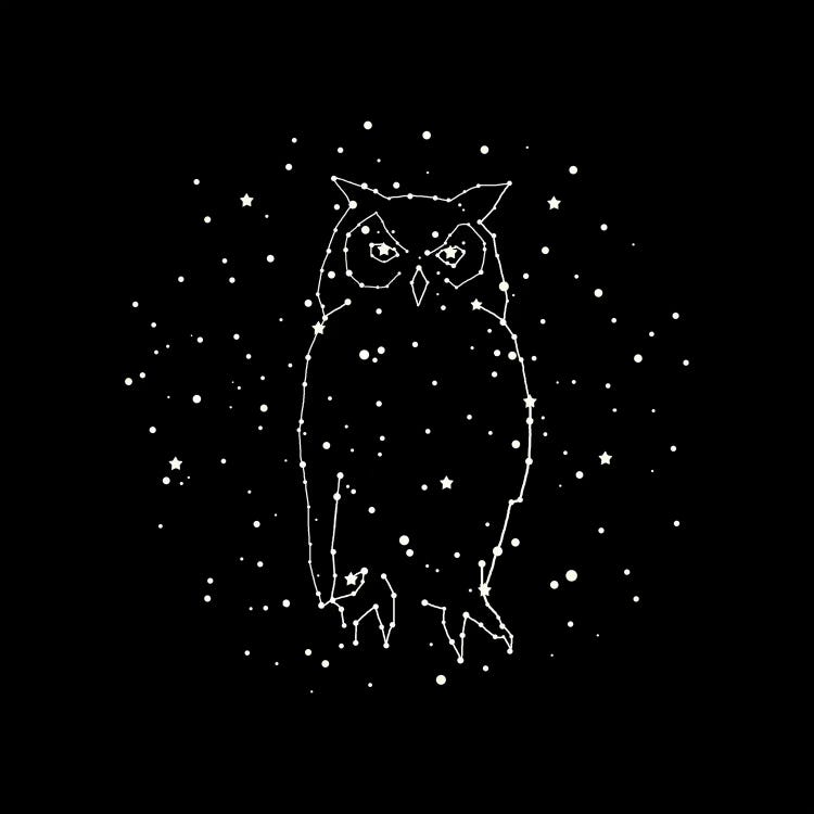 Owl Constellation by Terry Fan wall art