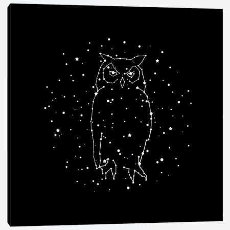 Owl Constellation Canvas Print #TFN248} by Terry Fan Art Print