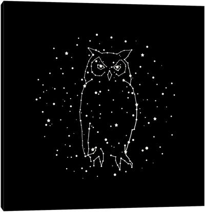 Owl Constellation Canvas Art Print - Terry Fan