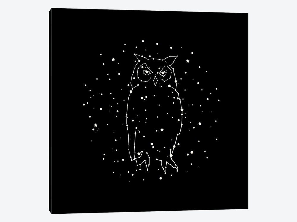 Owl Constellation by Terry Fan 1-piece Canvas Print
