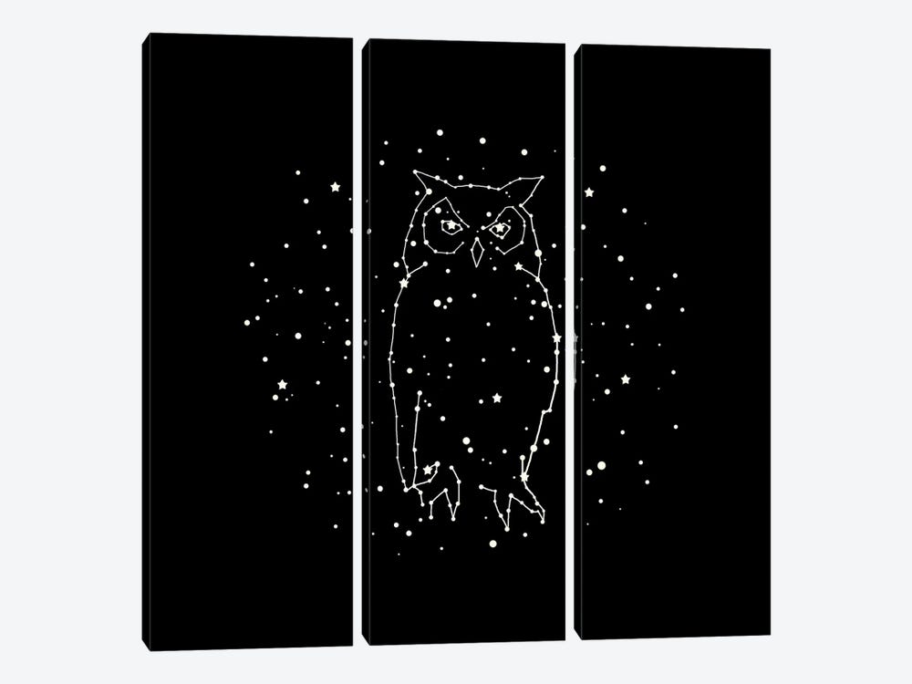 Owl Constellation by Terry Fan 3-piece Art Print