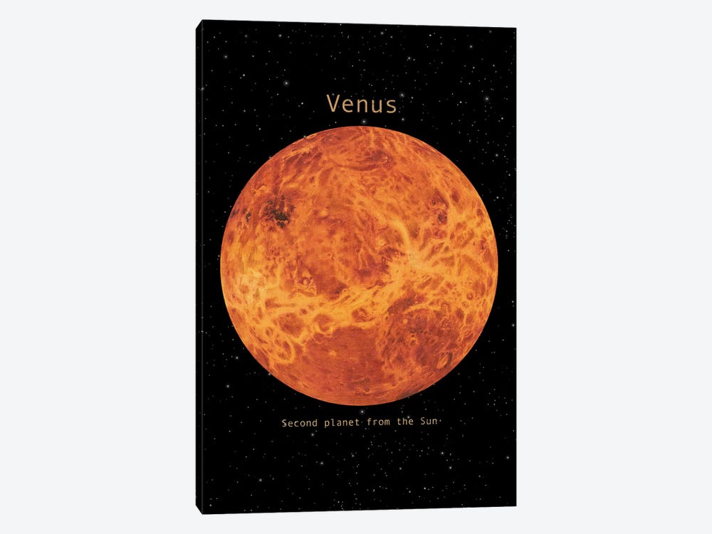 Venus by Terry Fan 1-piece Canvas Wall Art