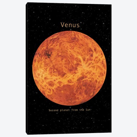 Venus Canvas Print #TFN254} by Terry Fan Art Print