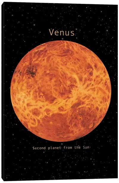 Venus Canvas Art Print - Terry Fan