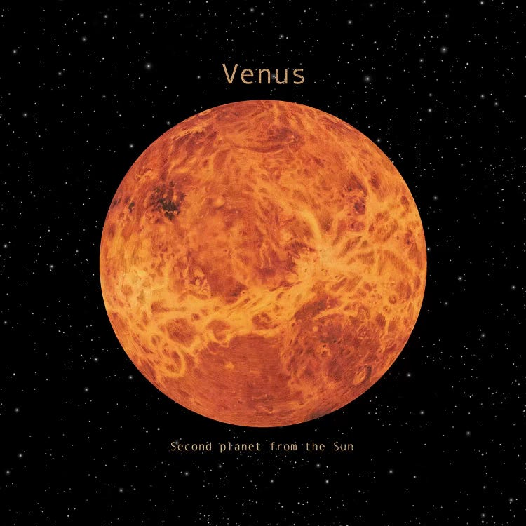 Venus Square by Terry Fan wall art