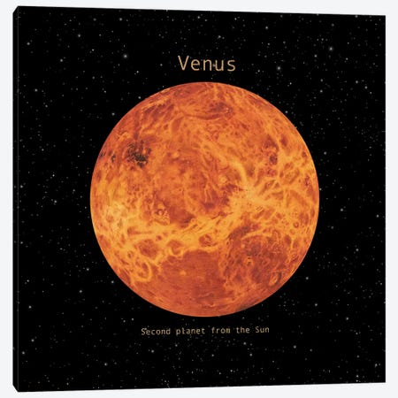 Venus Square Canvas Print #TFN255} by Terry Fan Art Print