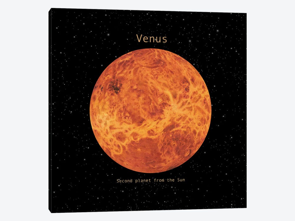 Venus Square by Terry Fan 1-piece Canvas Art Print
