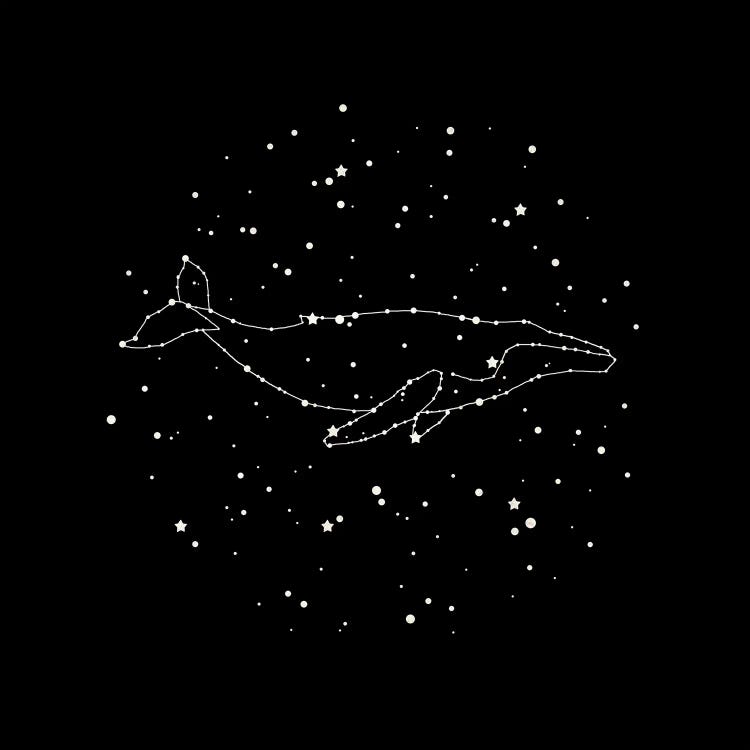 Whale Constellation by Terry Fan wall art