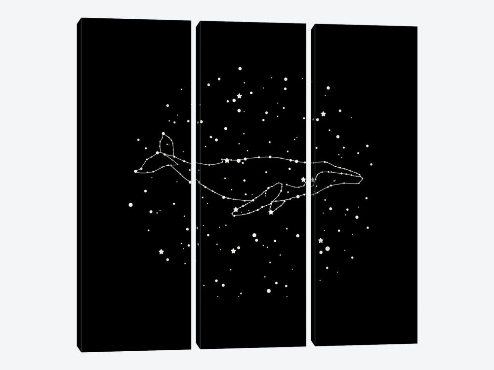 Whale Constellation by Terry Fan 3-piece Canvas Artwork