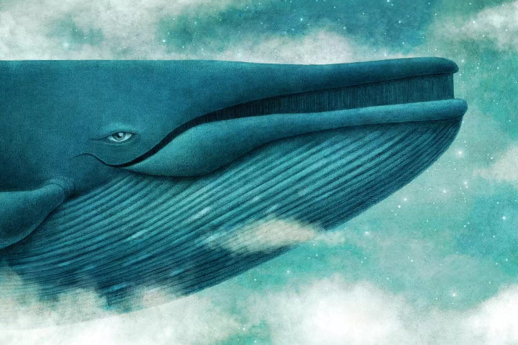 Dream Of The Blue Whale by Terry Fan wall art
