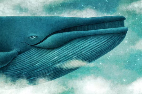 Dream Of The Blue Whale