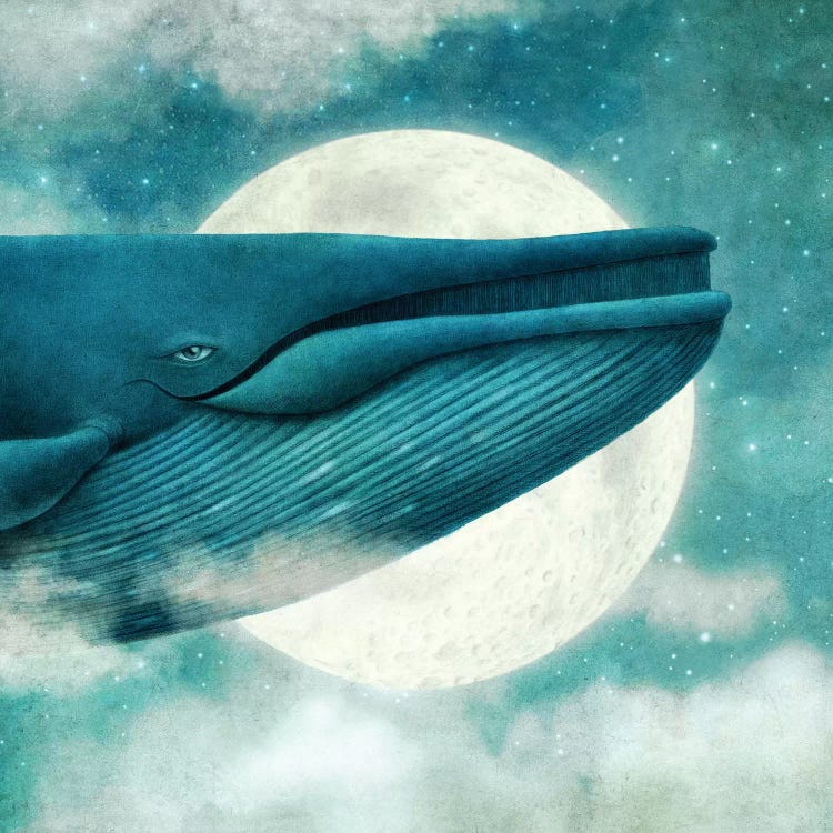 Dream Of The Blue Whale Square