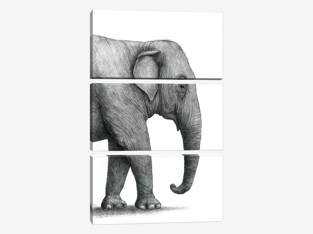 Elephant Study by Terry Fan 3-piece Canvas Wall Art