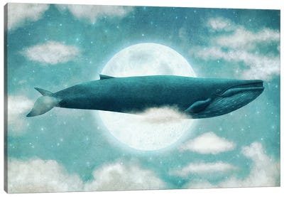 In The Clouds Canvas Art Print - Whale Art