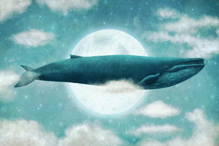 In The Clouds by Terry Fan wall art