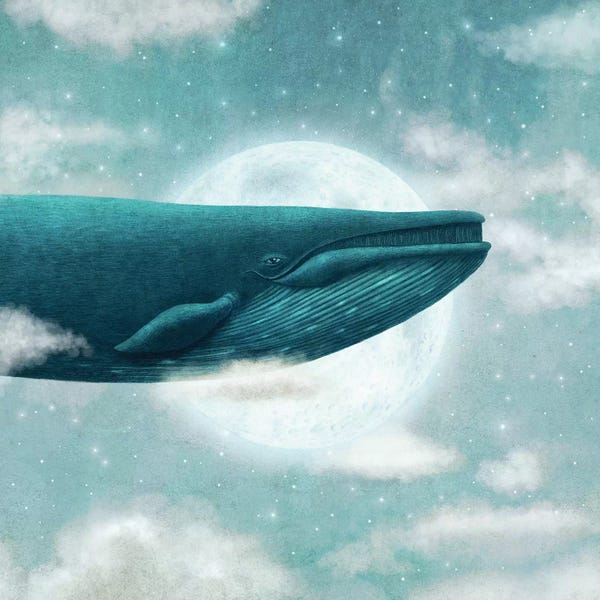 Kids Ocean Life Art: In The Clouds Square by Terry Fan