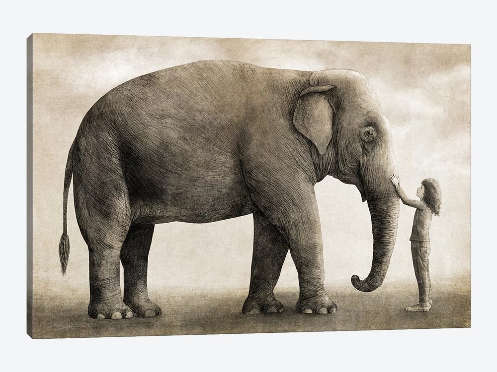 One Amazing Elephant by Terry Fan 1-piece Canvas Art