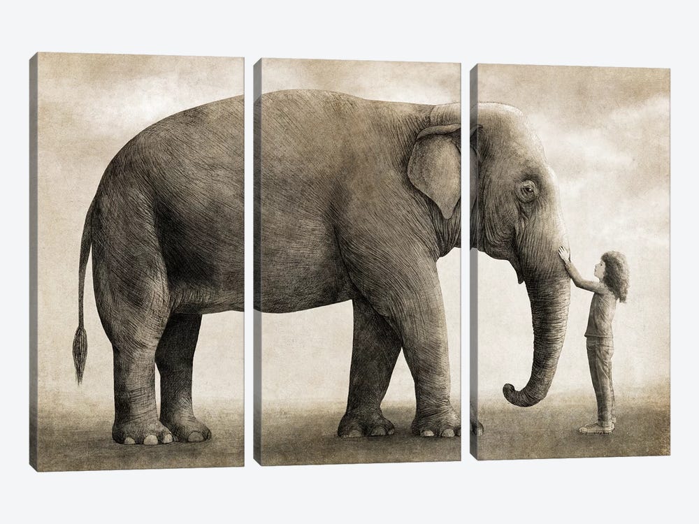 One Amazing Elephant by Terry Fan 3-piece Canvas Artwork