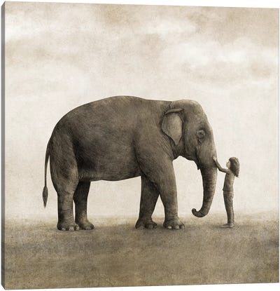 One Amazing Elephant Square Canvas Art Print - Animal Illustrations