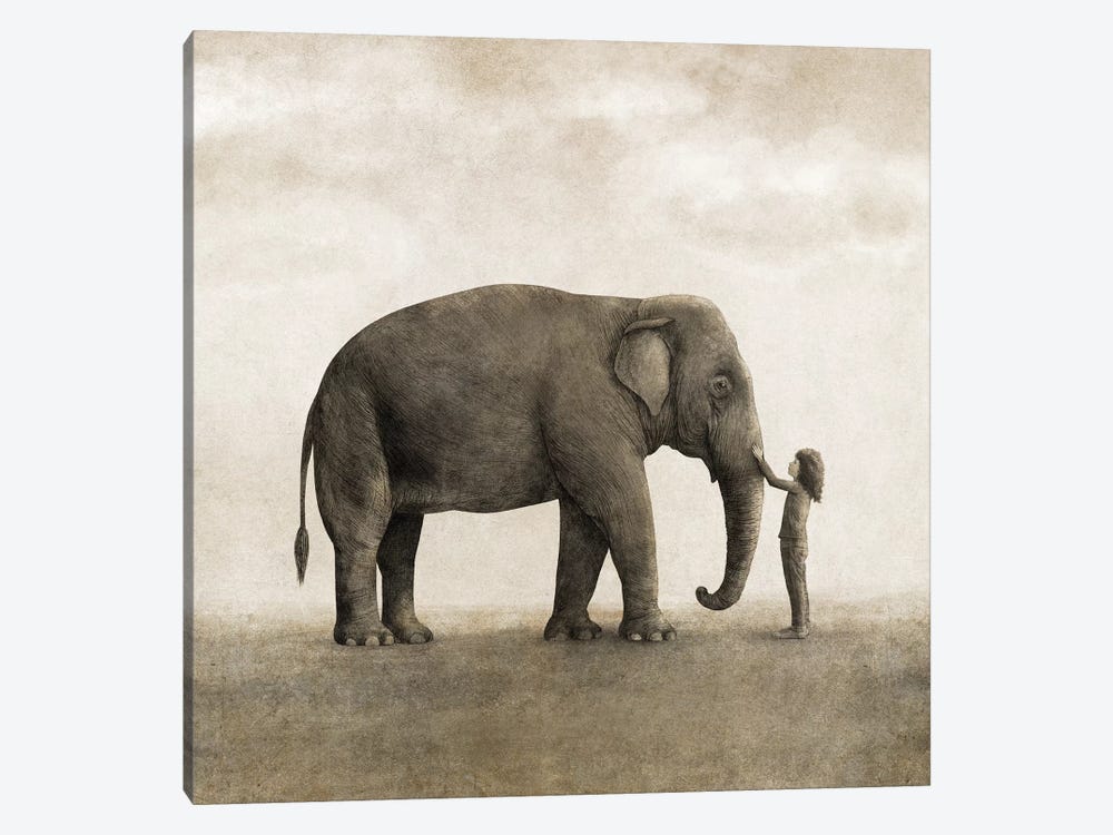 One Amazing Elephant Square by Terry Fan 1-piece Art Print