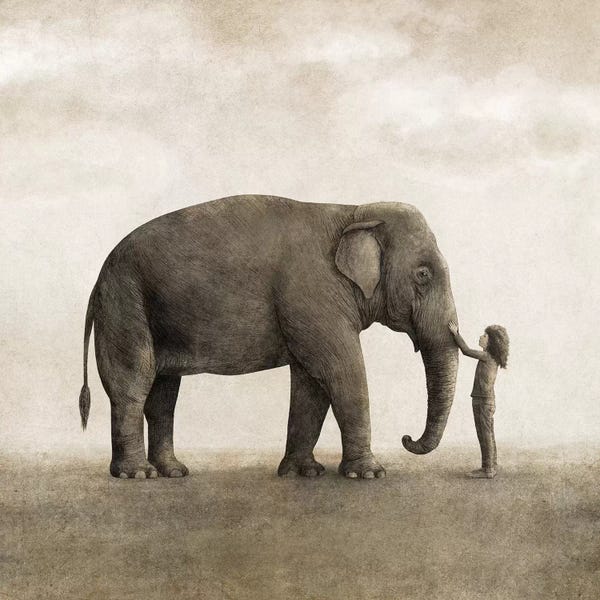 Children's Illustrations: One Amazing Elephant Square by Terry Fan