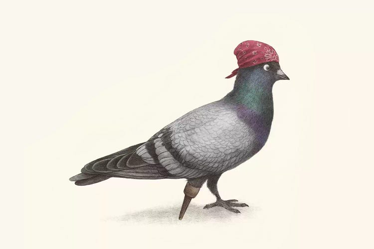 Pirate Pigeon Landscape by Terry Fan wall art