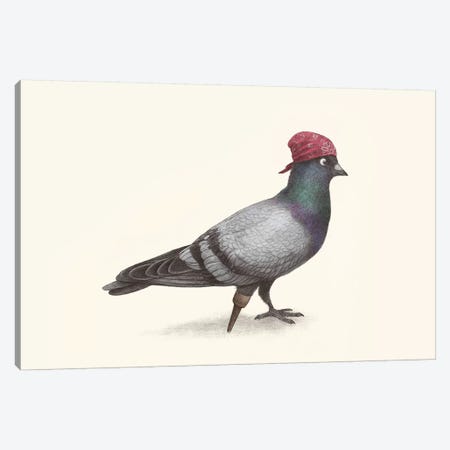 Pirate Pigeon Landscape Canvas Print #TFN270} by Terry Fan Canvas Wall Art