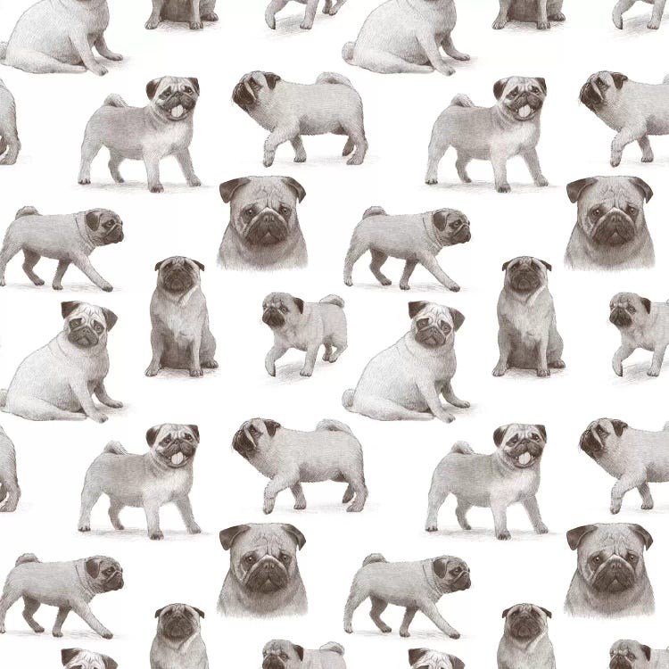 Pug Pattern