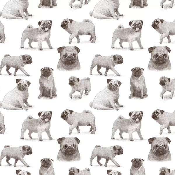 Children's Illustrations: Pug Pattern by Terry Fan