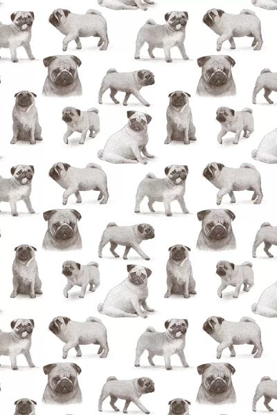 Book illustrations: Pug Pattern Portrait by Terry Fan