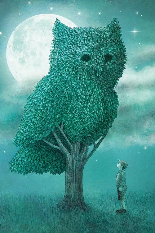 The Night Gardener by Terry Fan wall art