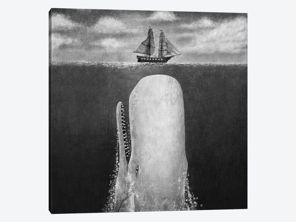 The Whale Grayscale Square by Terry Fan 1-piece Canvas Wall Art
