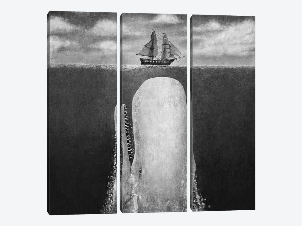 The Whale Grayscale Square by Terry Fan 3-piece Canvas Artwork