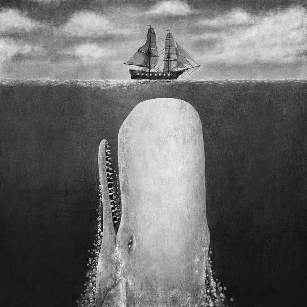 Kids Ocean Life Art: The Whale Grayscale Square by Terry Fan