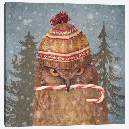 Christmas Owl Canvas Print #TFN27} by Terry Fan Canvas Art