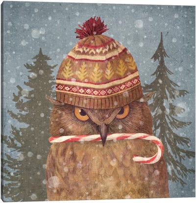 Christmas Owl Canvas Art Print - Children's Illustrations 