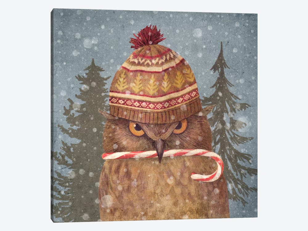 Christmas Owl by Terry Fan 1-piece Canvas Wall Art