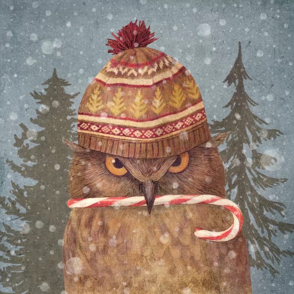 Terry Fan: Christmas Owl by Terry Fan