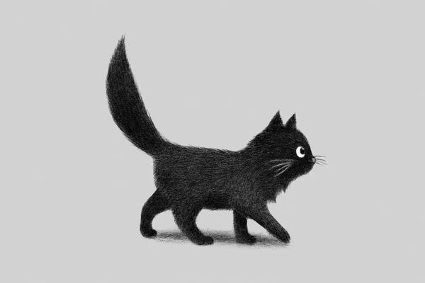 Book illustrations: Creeping Cat  by Terry Fan