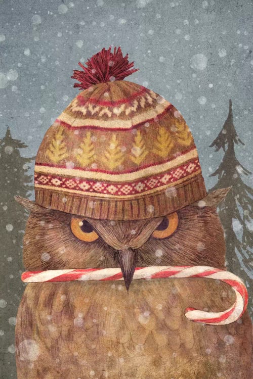 Christmas Owl Portrait