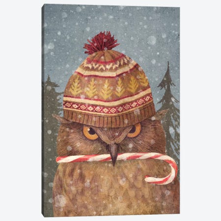 Christmas Owl Portrait Canvas Print #TFN28} by Terry Fan Canvas Art Print