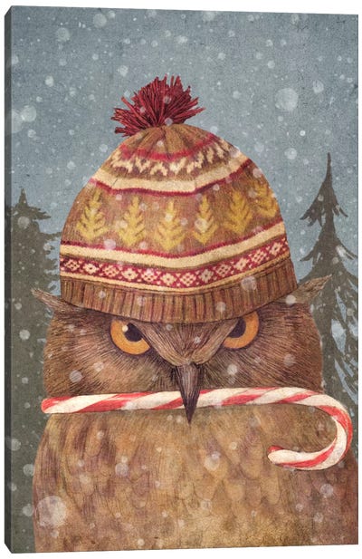 Christmas Owl Portrait Canvas Art Print - Holiday Eats & Treats