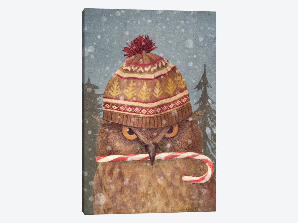 Christmas Owl Portrait by Terry Fan 1-piece Art Print