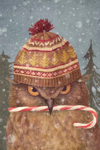Terry Fan: Christmas Owl Portrait by Terry Fan