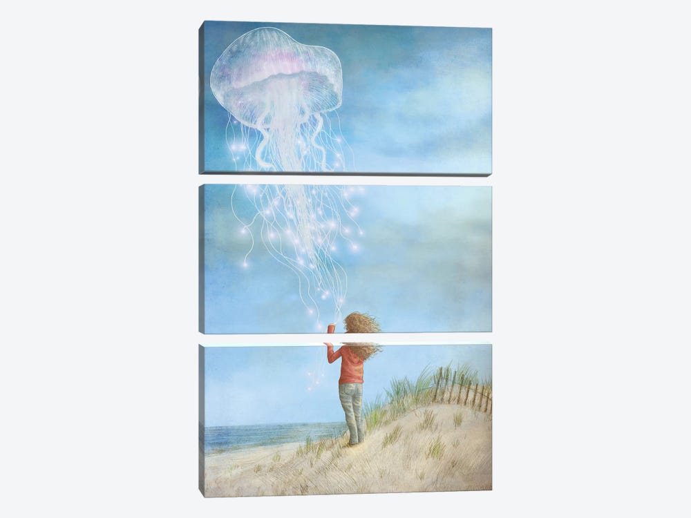 Dream Of The Jellyfish by Terry Fan 3-piece Canvas Print