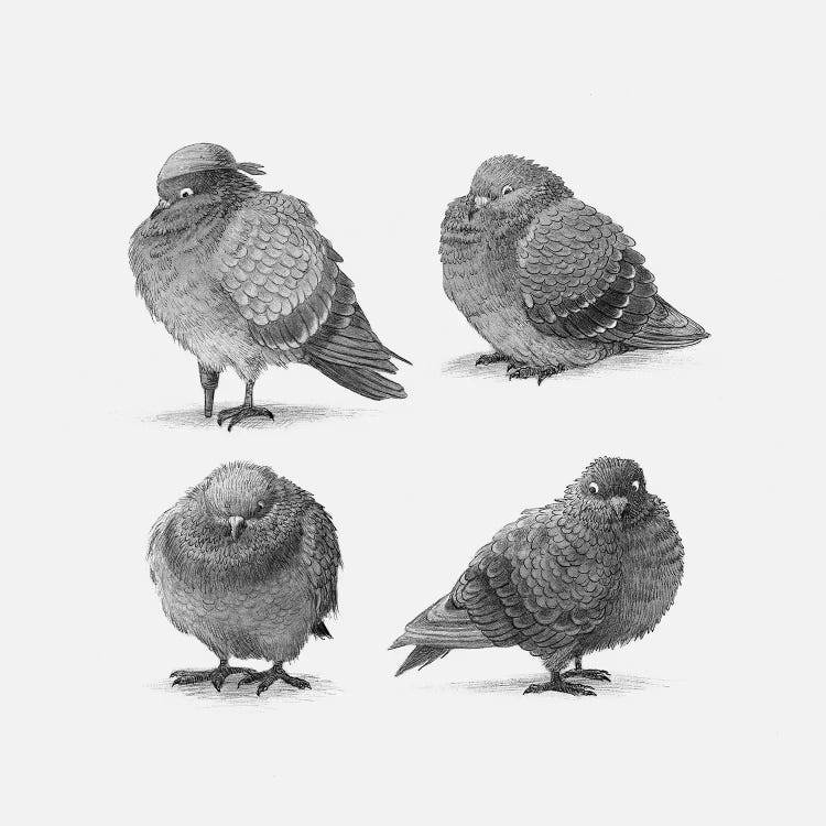 Four Pigeons  by Terry Fan wall art