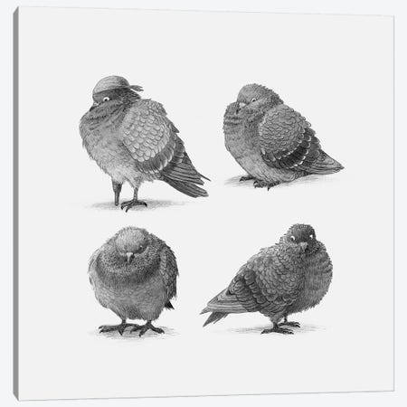 Four Pigeons  Canvas Print #TFN295} by Terry Fan Canvas Art Print